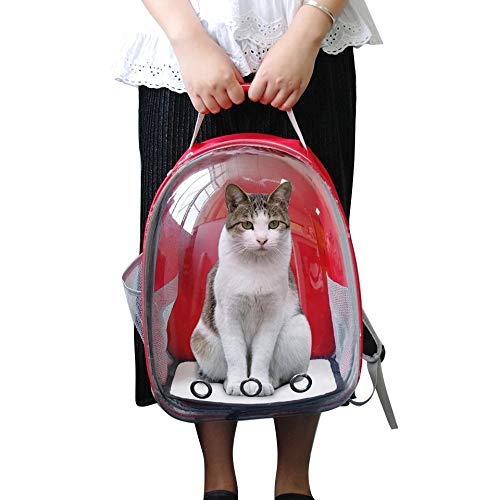 Red Transparent Pet Bag - Image 3