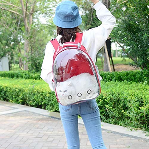 Red Transparent Pet Bag - Image 4