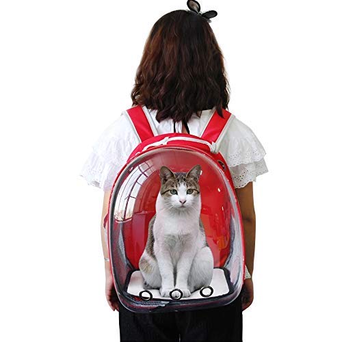 Red Transparent Pet Bag - Image 5