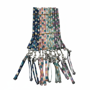 Bone Collar Clip Leash Set