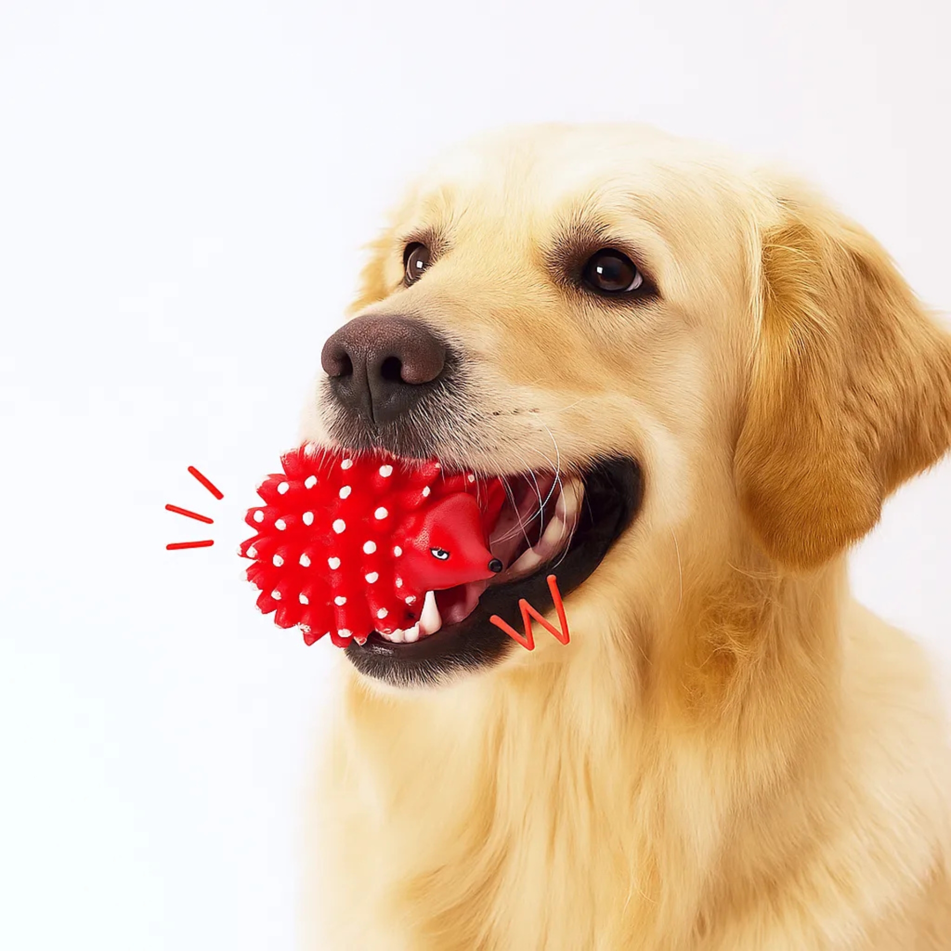 Hedgehog Squeaky Toy - Image 2