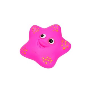 Star Fish Squeaky Toy