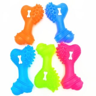 Bone Teeth Squeaky Toy