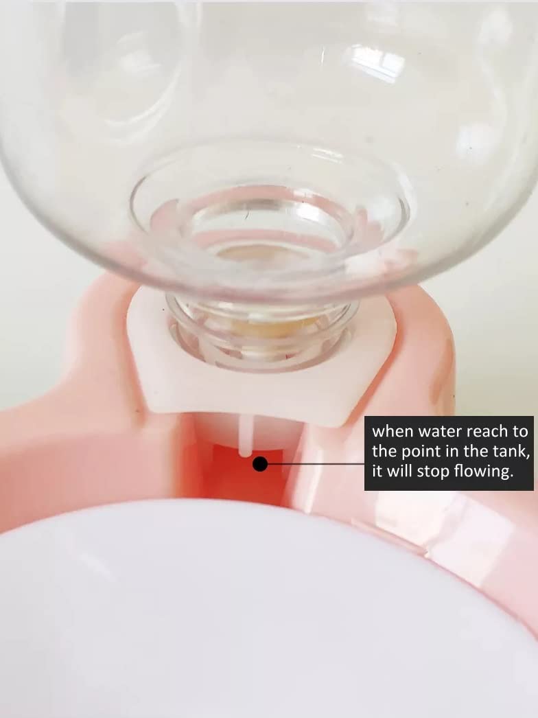 2 In 1 Automatic Water Feeder With Bowl - Image 7