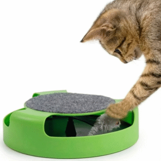Interactive Cat Toy – Spinning Mouse & Scratch Pad Play Station