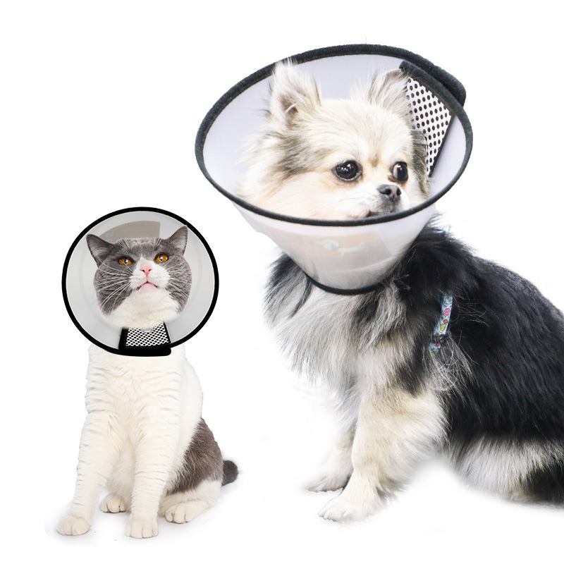 Elizabeth Pet Recovery Collar | E-Collar – XL - Image 2