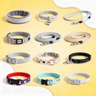 Puppy Cat Collars & Leash