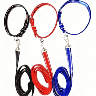 PP Reflective Collar & Leash Set - M