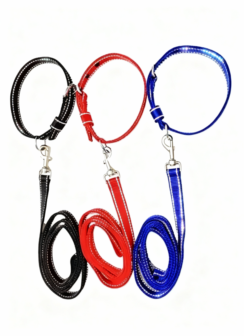 PP Reflective Collar & Leash Set - M