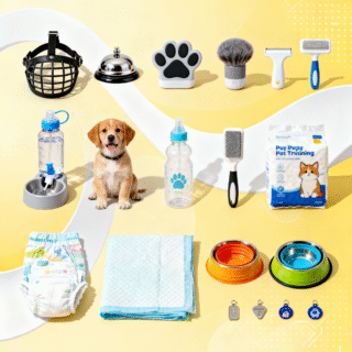 Pet Accessories