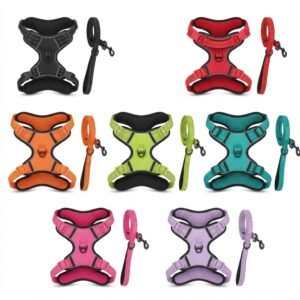 Small Dog Reflective Harness with Leash – Size S