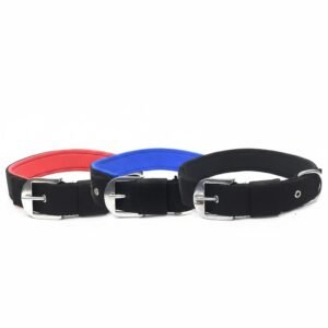 PP Padding Dog Collar 0.5 Inch | Soft Padded Pet Collar for Puppies & Small Dogs