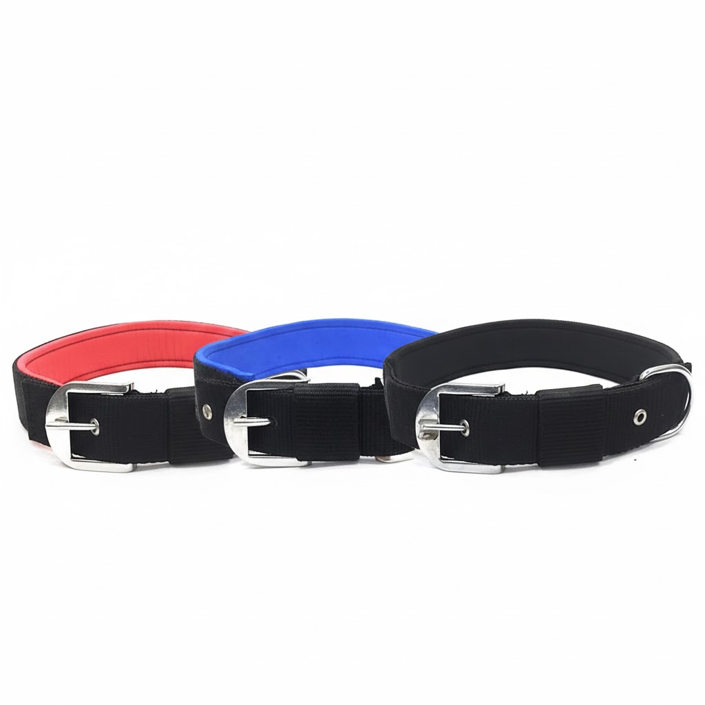 PP Padding Dog Collar 0.75 Inch | Soft Padded Collar for Small & Medium Dogs