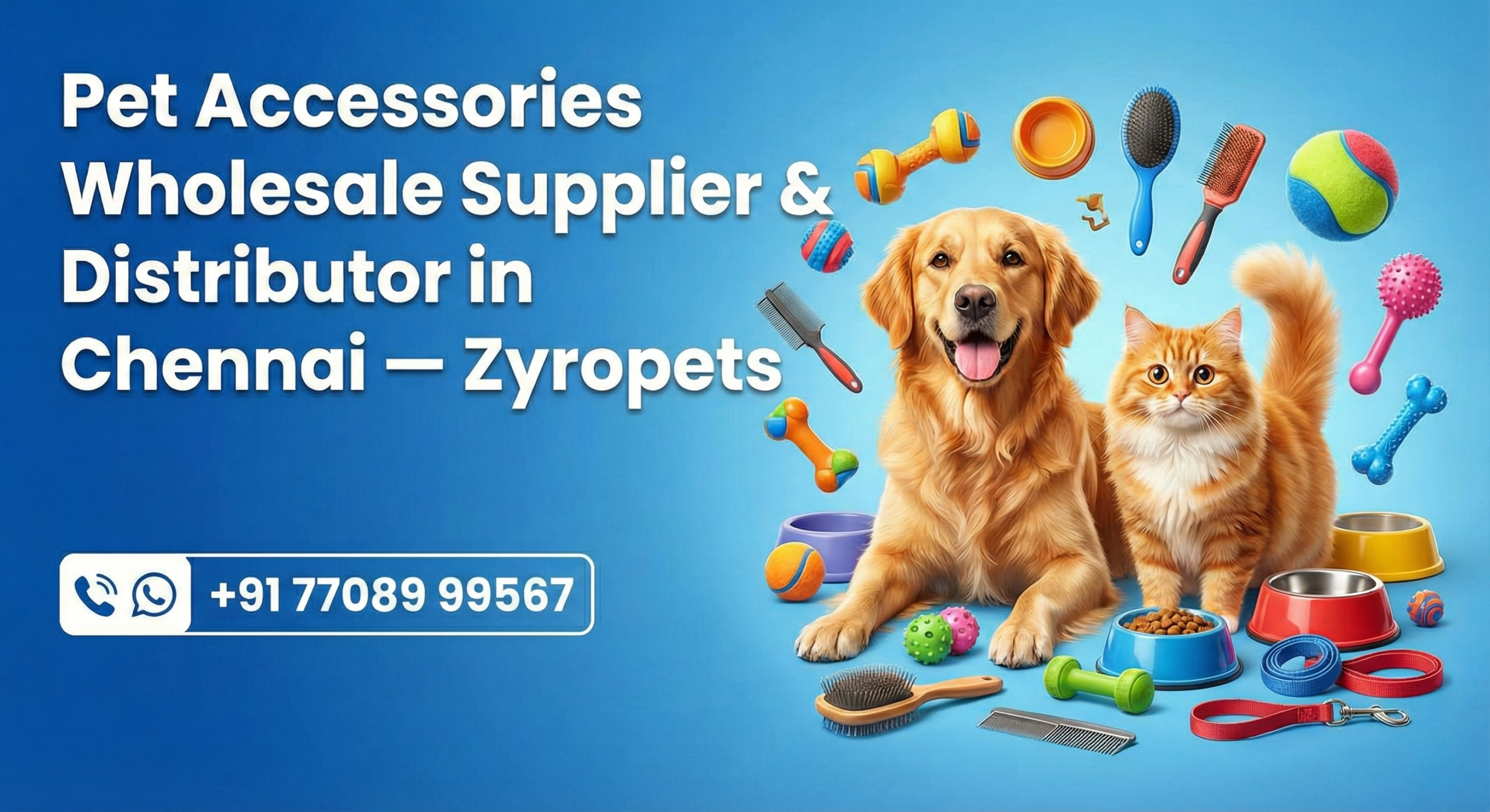 Pet accessories wholesale supplier and distributor in Chennai Zyropets