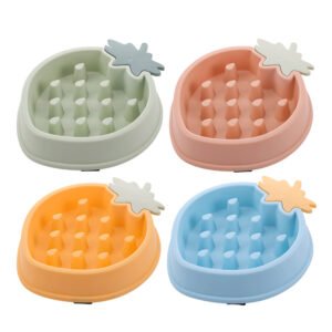 Pineapple Slow Feed Bowl