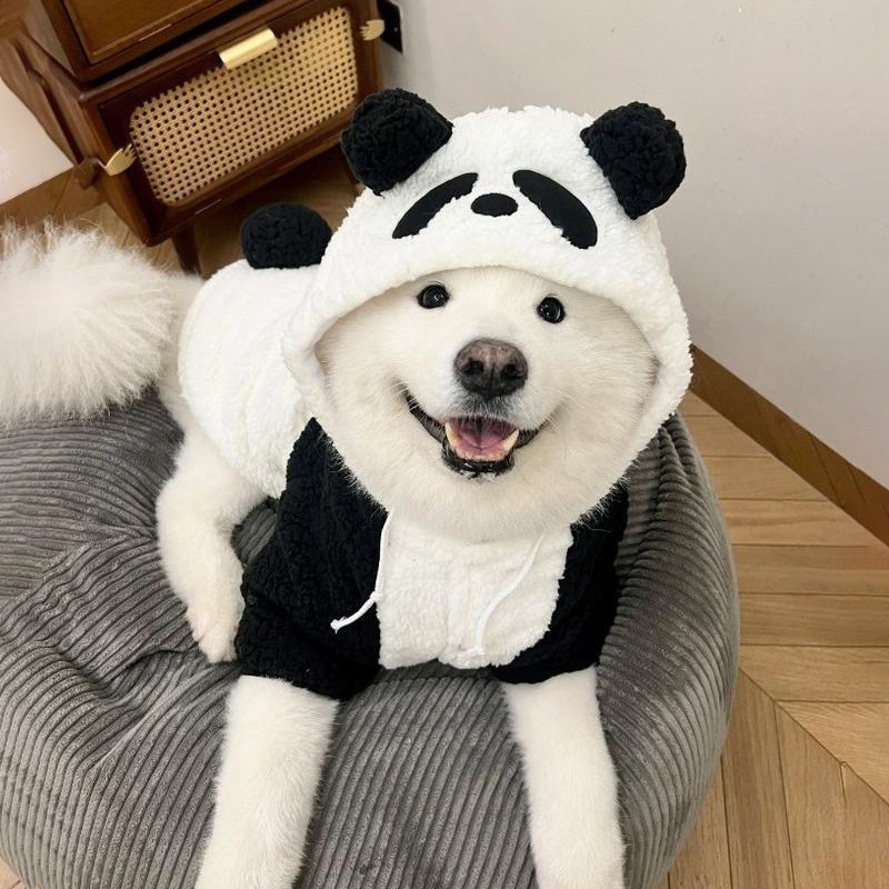 Dog Hoodie Wholesale